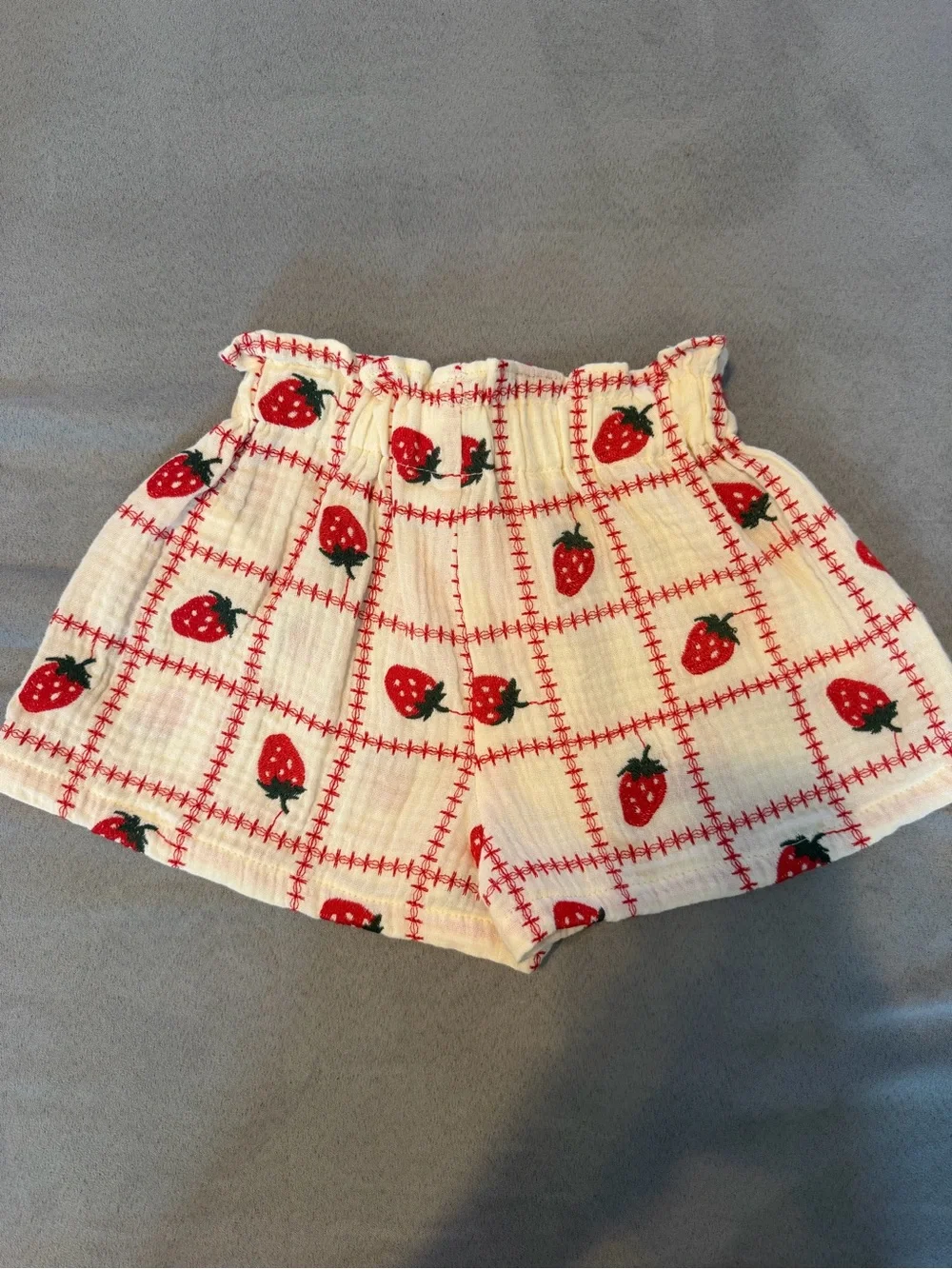 NWT Zara Strawberry Set